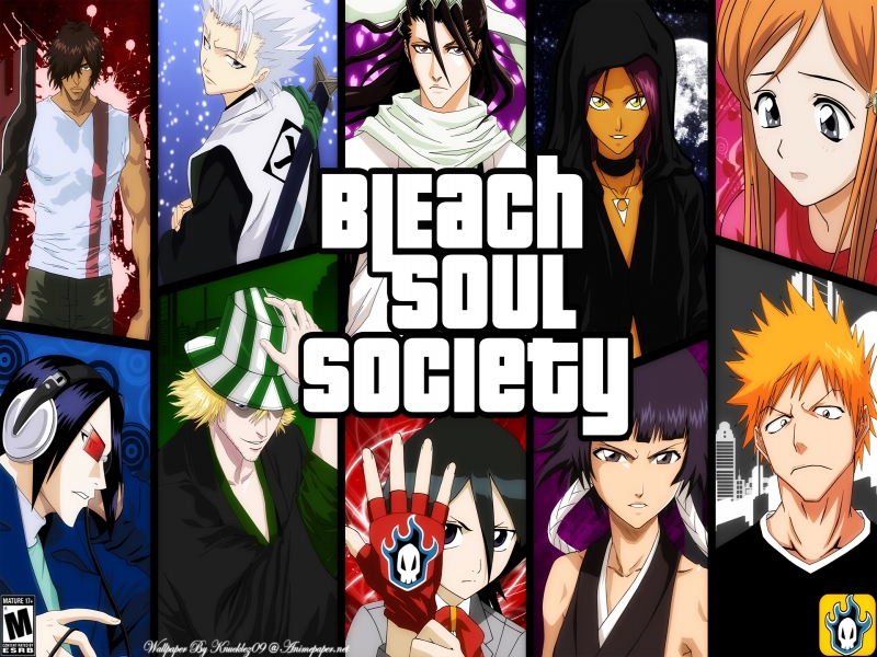 bleach-soul-society.jpg